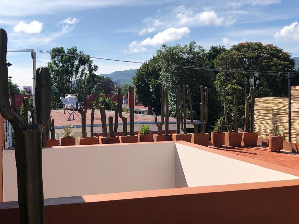 OaxacaCasa Cronica公寓 外观 照片